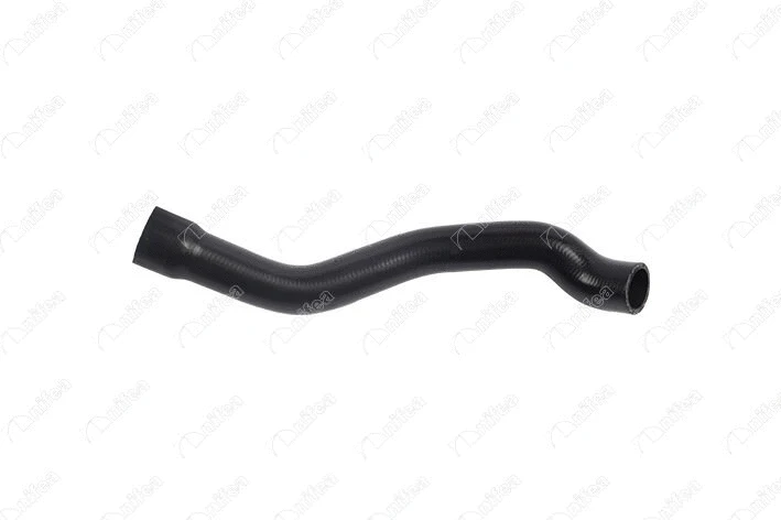 Radiator Hose (33166)