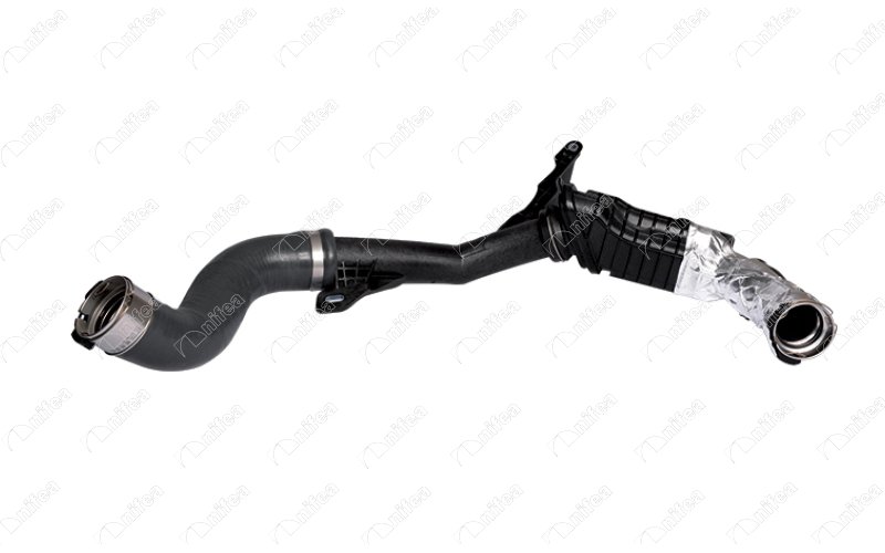 Charge Air Hose (11012)