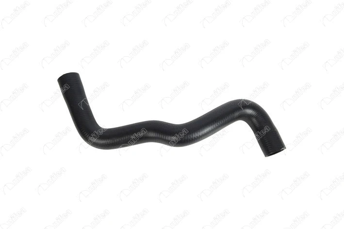 Radiator Hose (11841)
