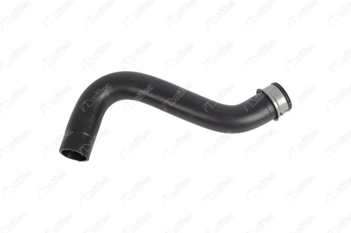 Radiator Hose (33436)