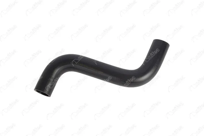 Radiator Hose (33521)