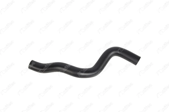 Radiator Hose (19142)