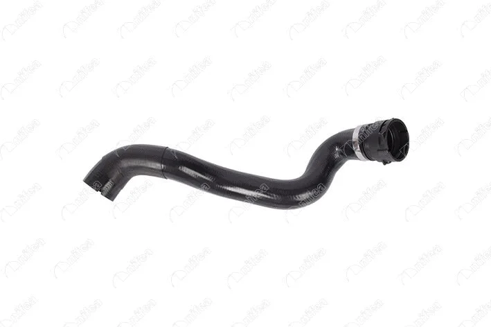 Radiator Hose (33806)