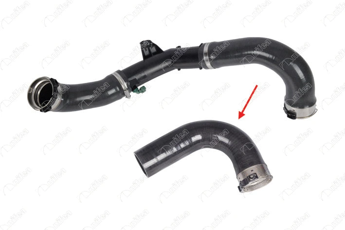 Charge Air Hose (12779)