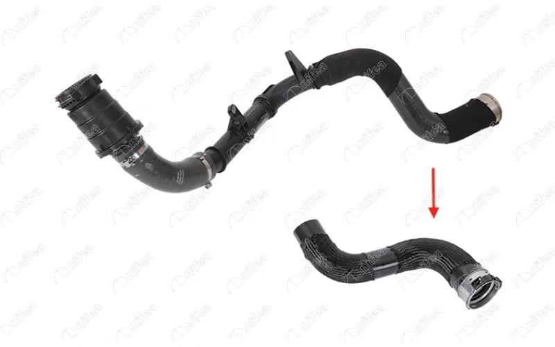 Charge Air Hose (11616)