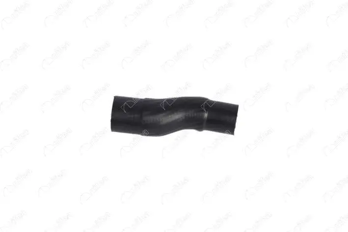Radiator Hose (27662)