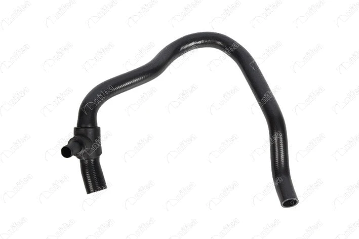 Radiator Hose (19762)