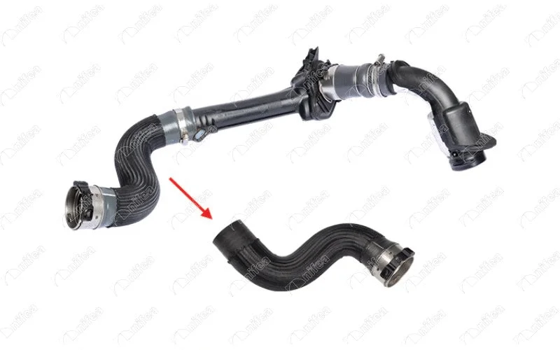 Charge Air Hose (11598)