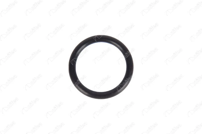 Gasket, coolant pipe (21175)