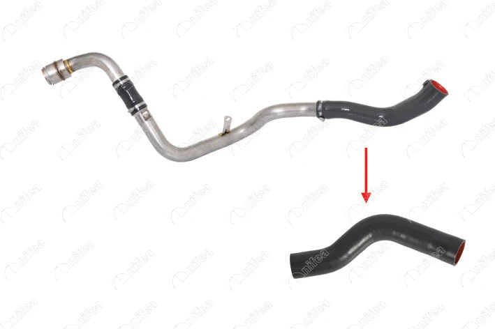 Charge Air Hose (11148)