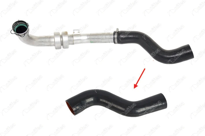 Charge Air Hose (11773)