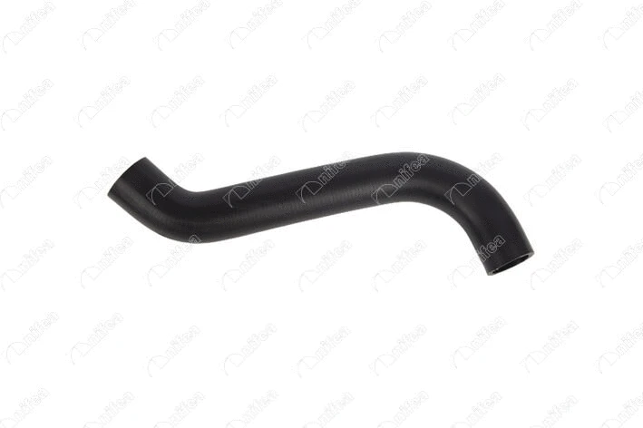 Radiator Hose (32161)
