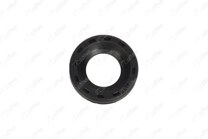 Seal Kit, injector nozzle (19698)