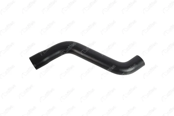 Radiator Hose (21310)