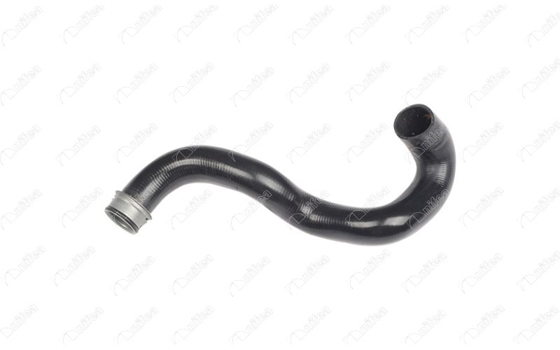 Radiator Hose (33203)