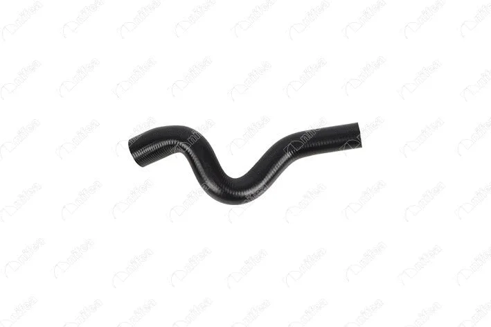 Radiator Hose (17641)