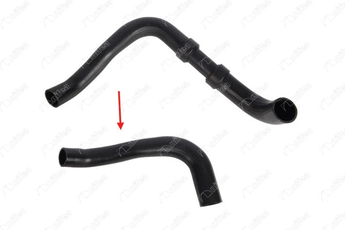 Charge Air Hose (19631)