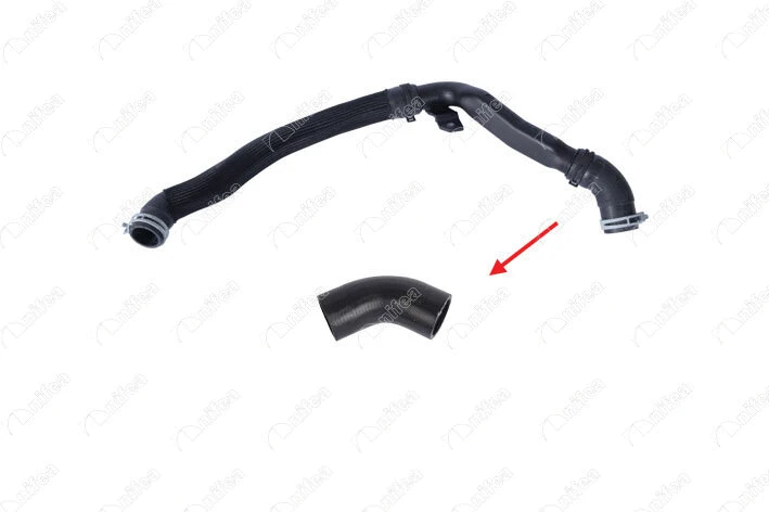 Radiator Hose (19543)