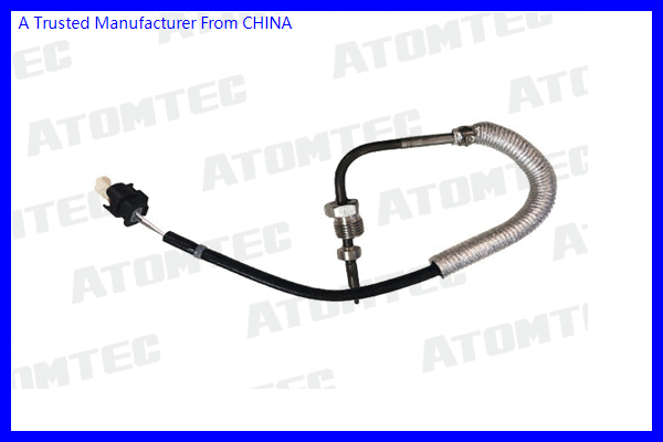 Sensor, exhaust gas temperature (EGT1M012)