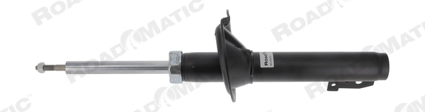 Shock Absorber (401246RM)