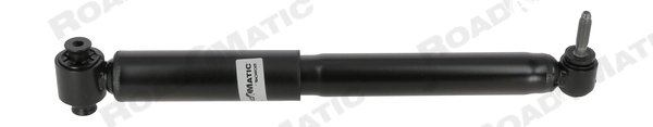 Shock Absorber (251155RM)