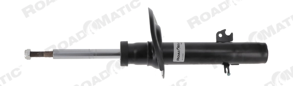 Shock Absorber (401153RM)