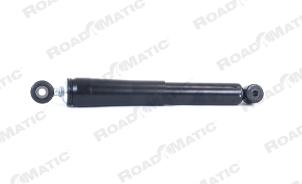 Shock Absorber (251063RM)