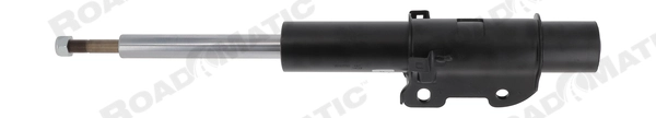 Shock Absorber (401234RM)