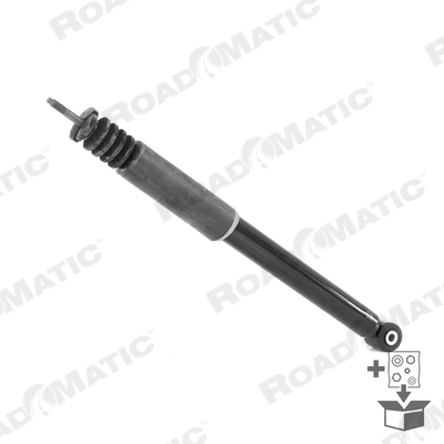 Shock Absorber (251035RM)