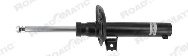 Shock Absorber (401170RM)