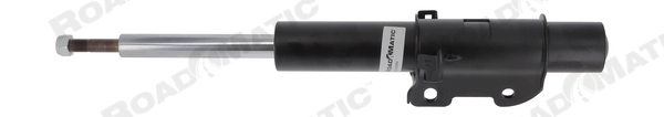Shock Absorber (401243RM)
