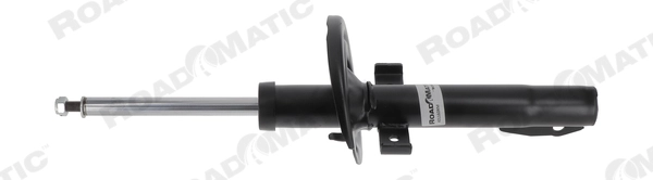 Shock Absorber (401160RM)