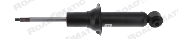 Shock Absorber (251172RM)