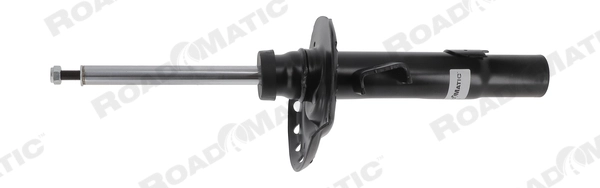 Shock Absorber (401233RM)