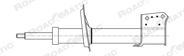 Shock Absorber (401039RM)