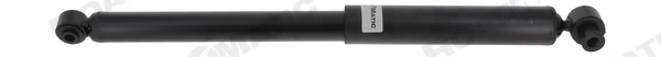 Shock Absorber (251243RM)