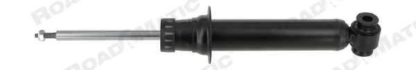 Shock Absorber (251178RM)