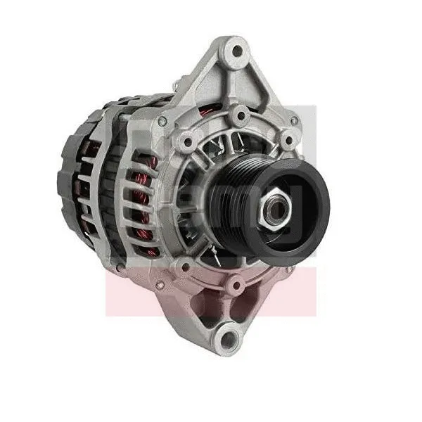Alternator (8600030-12B1)