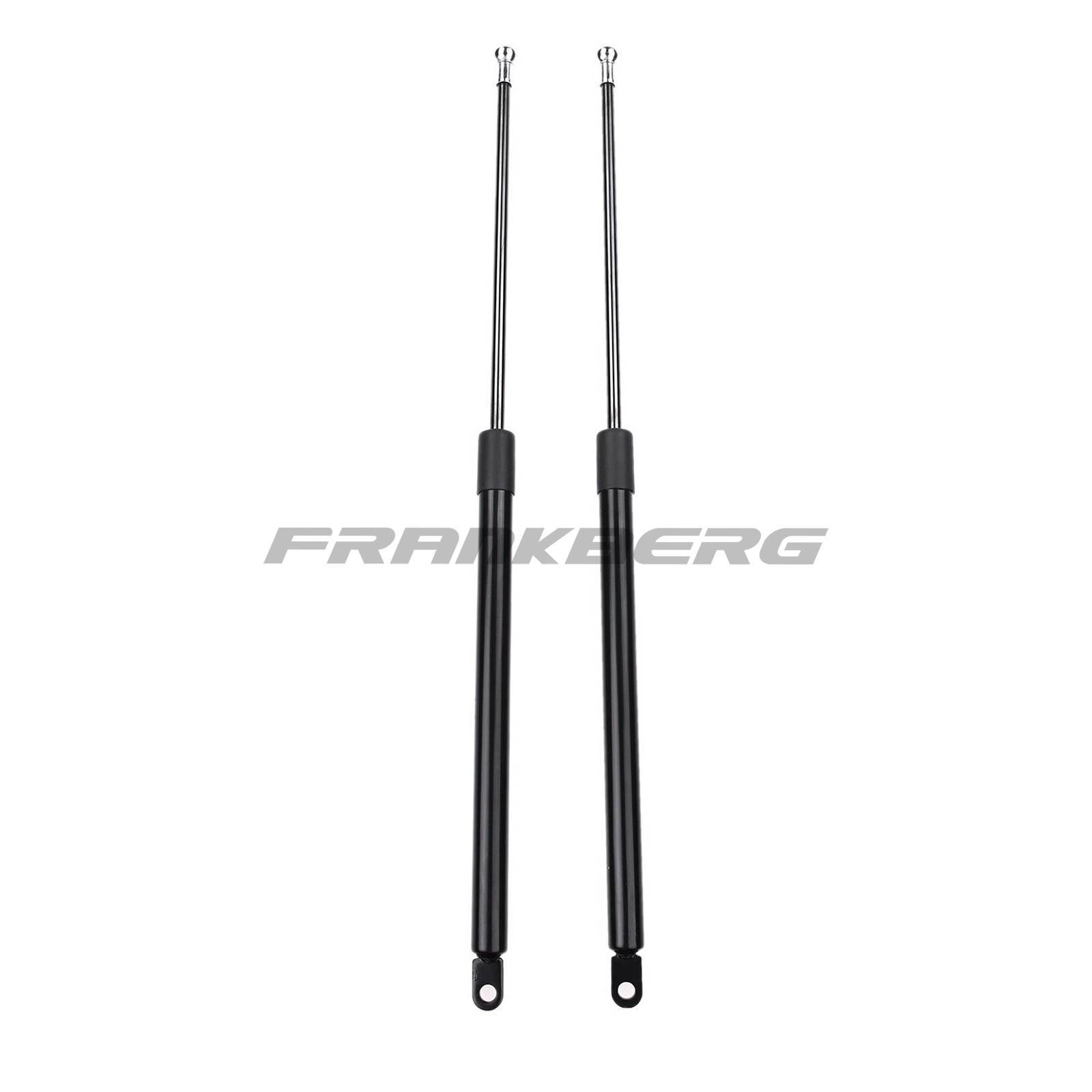 Gas Spring, boot/cargo area