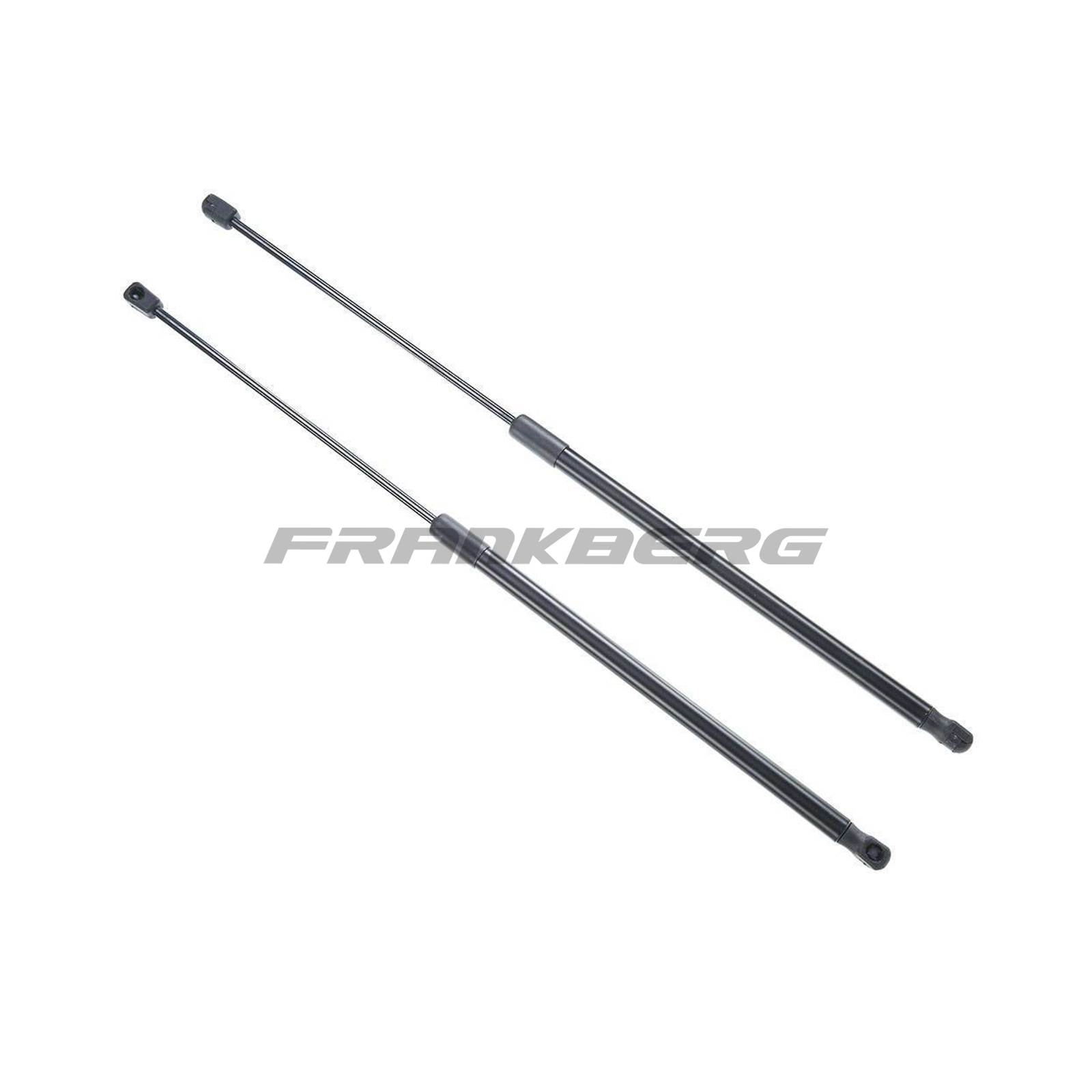 Gas Spring, boot/cargo area