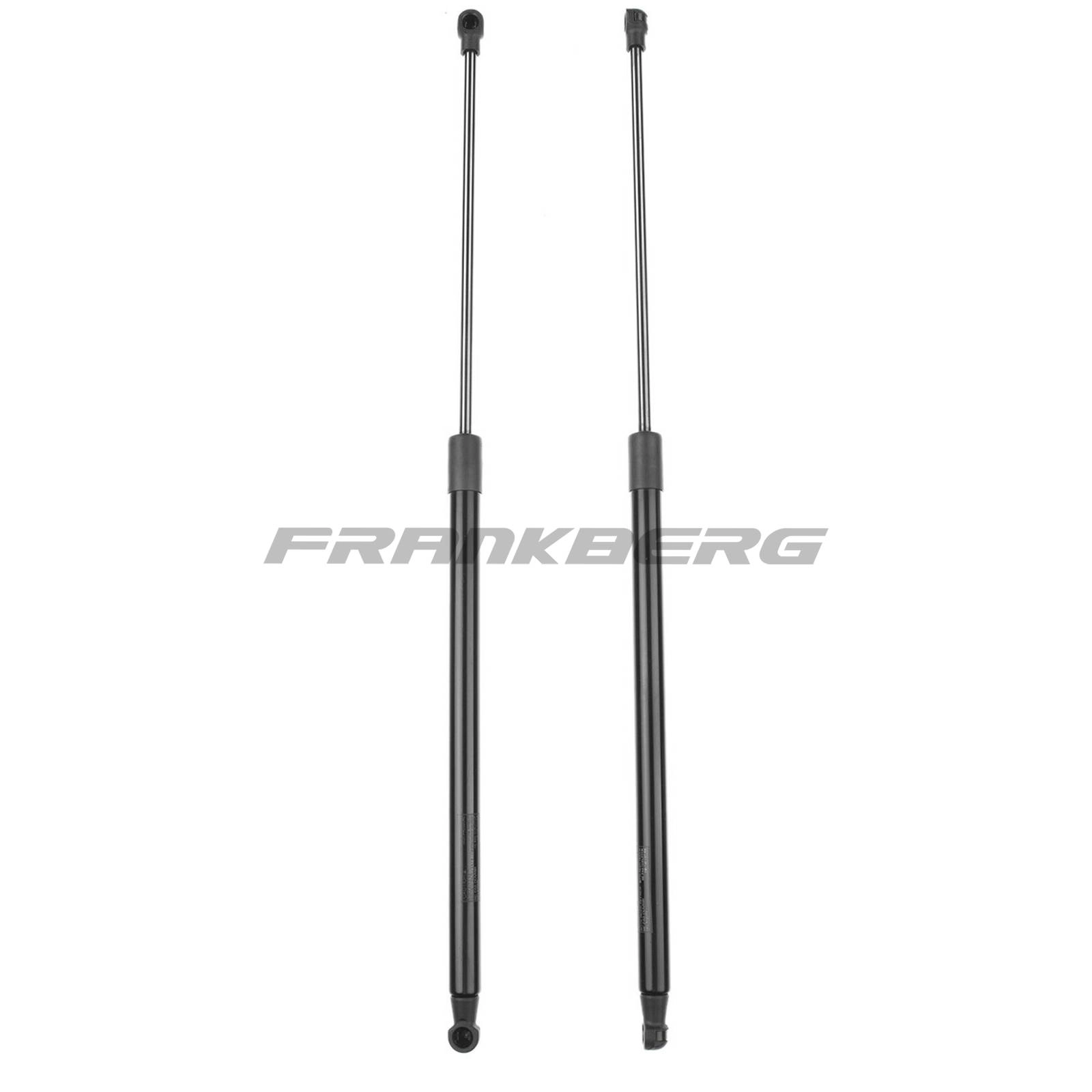 Gas Spring, boot/cargo area