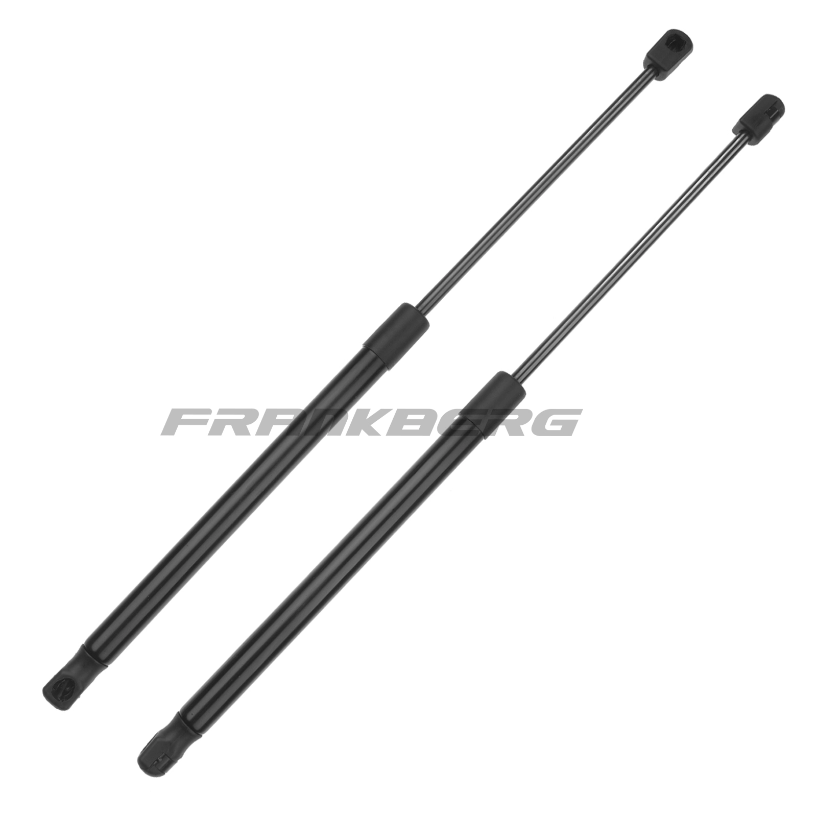 Gas Spring, boot/cargo area