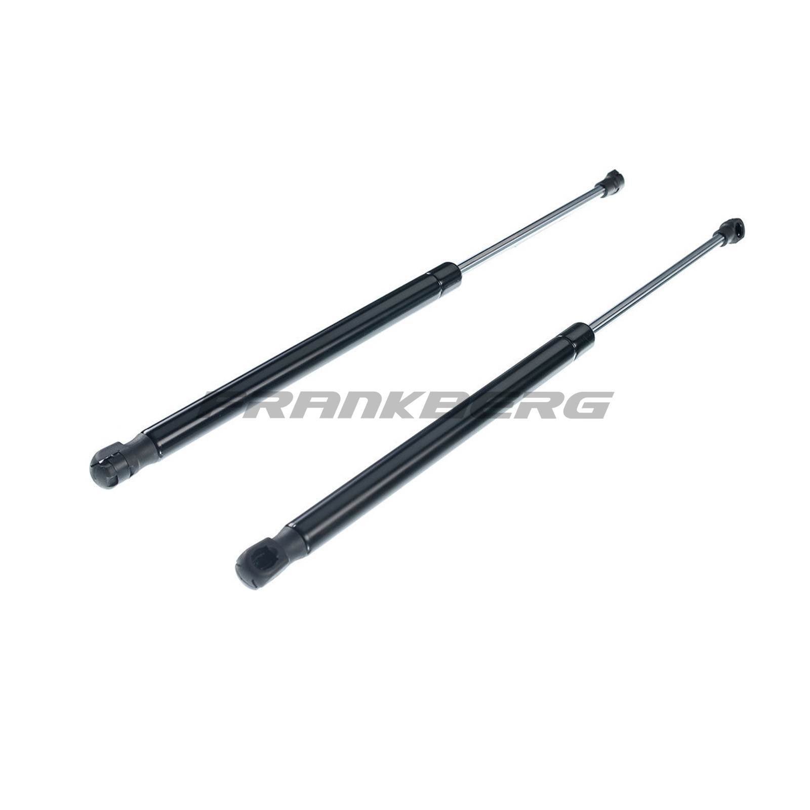 Gas Spring, boot/cargo area