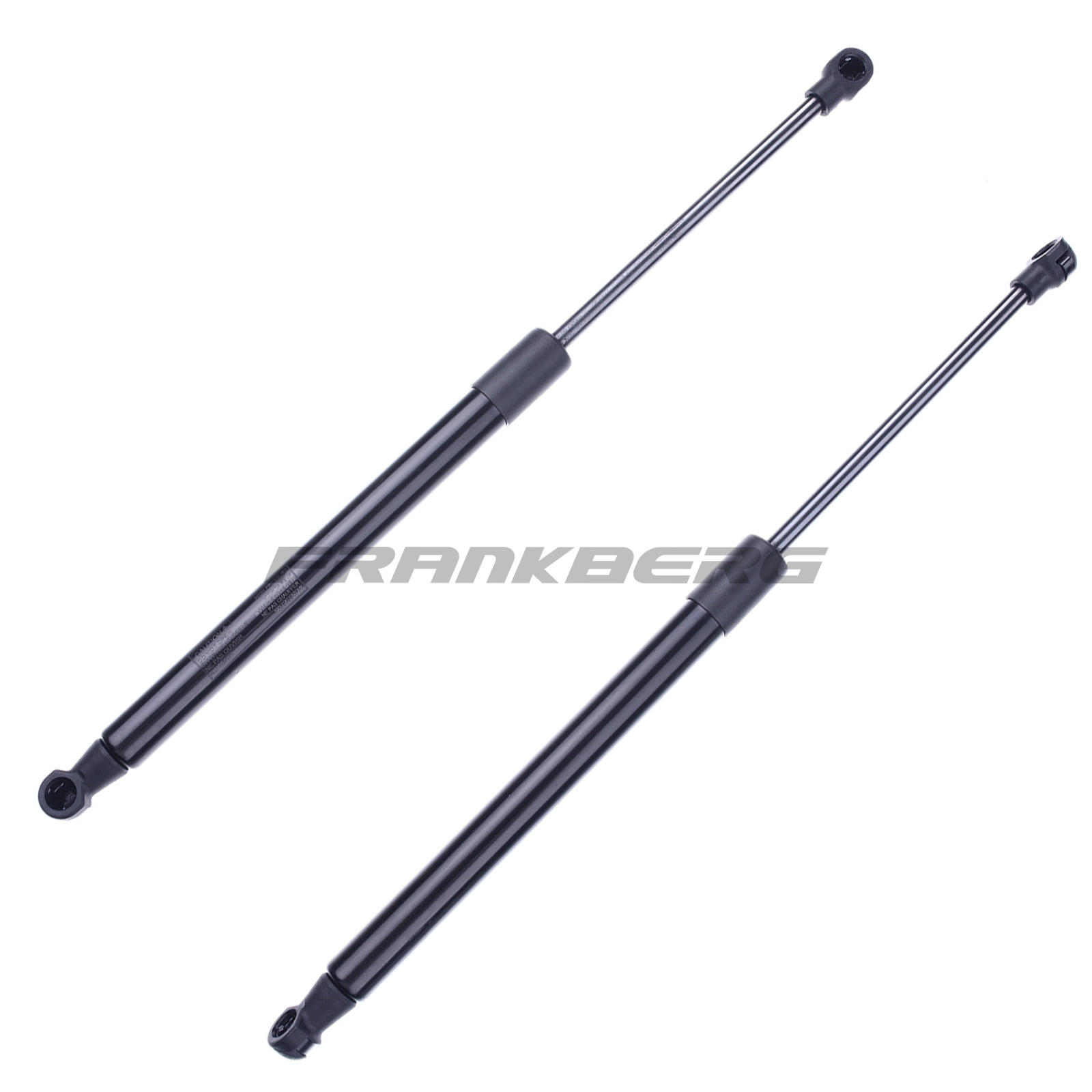 Gas Spring, boot/cargo area