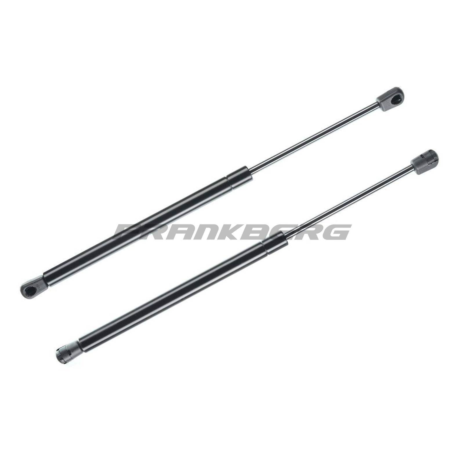 Gas Spring, boot/cargo area