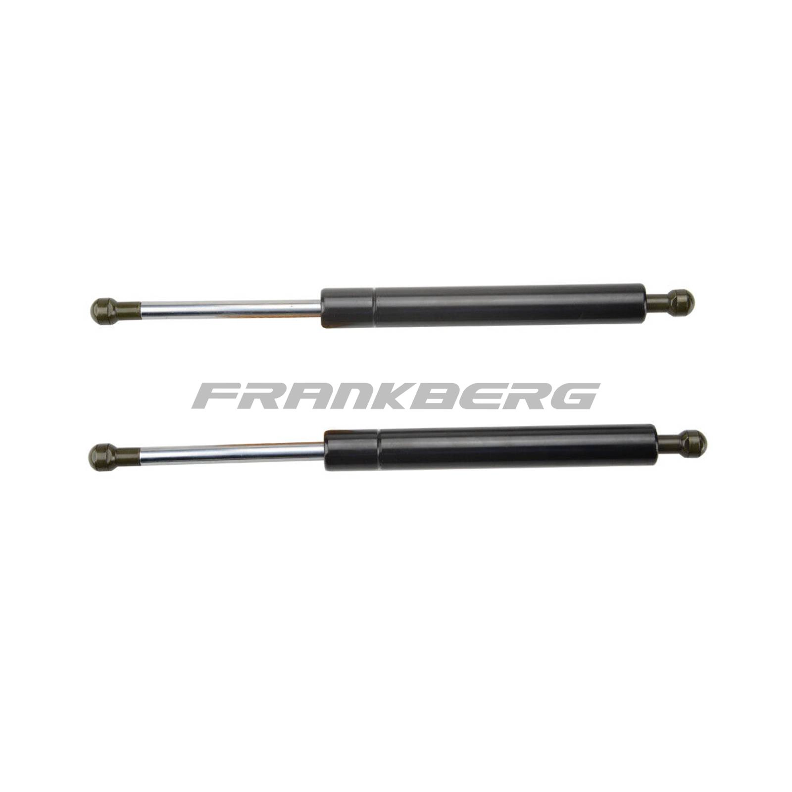 Gas Spring, boot/cargo area