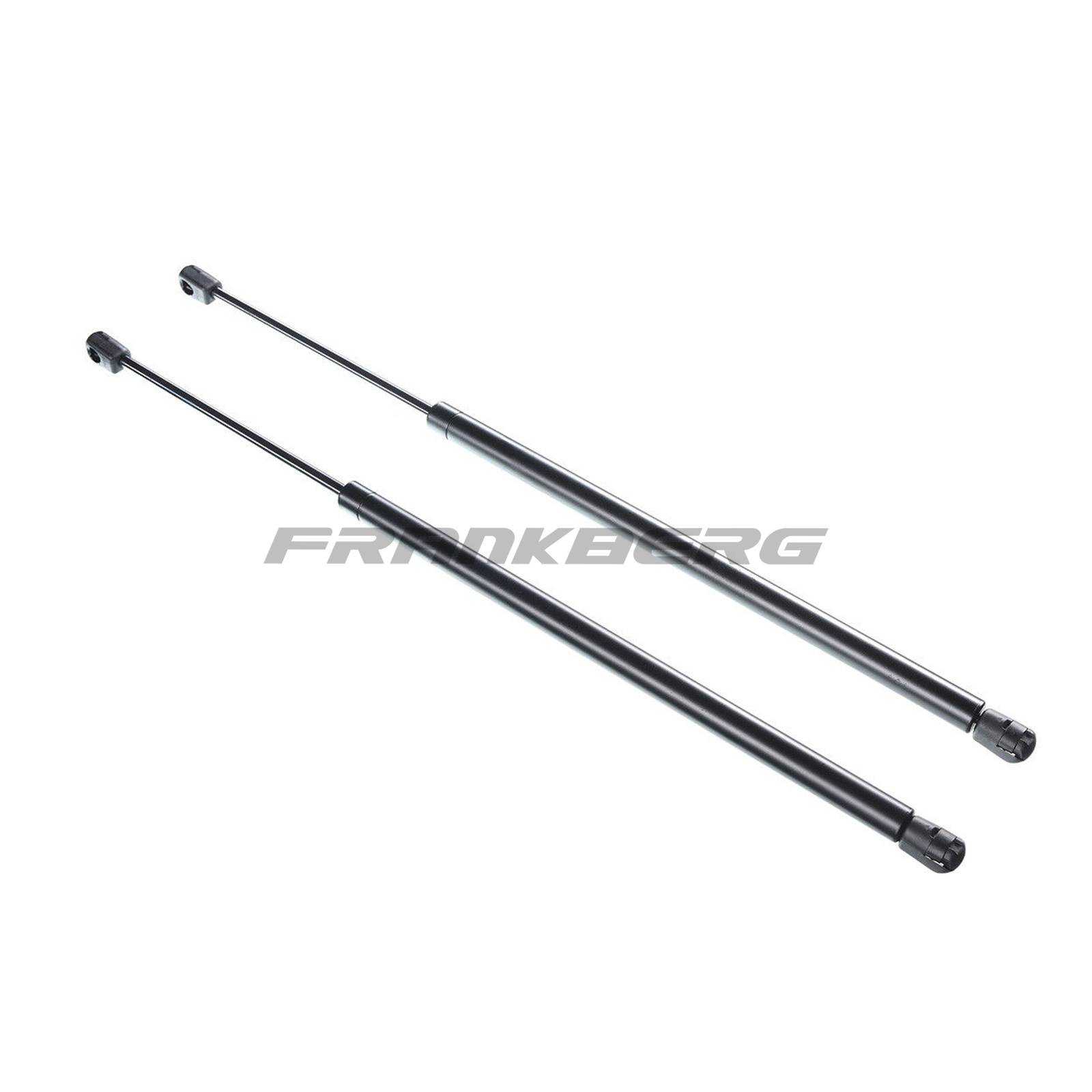 Gas Spring, boot/cargo area