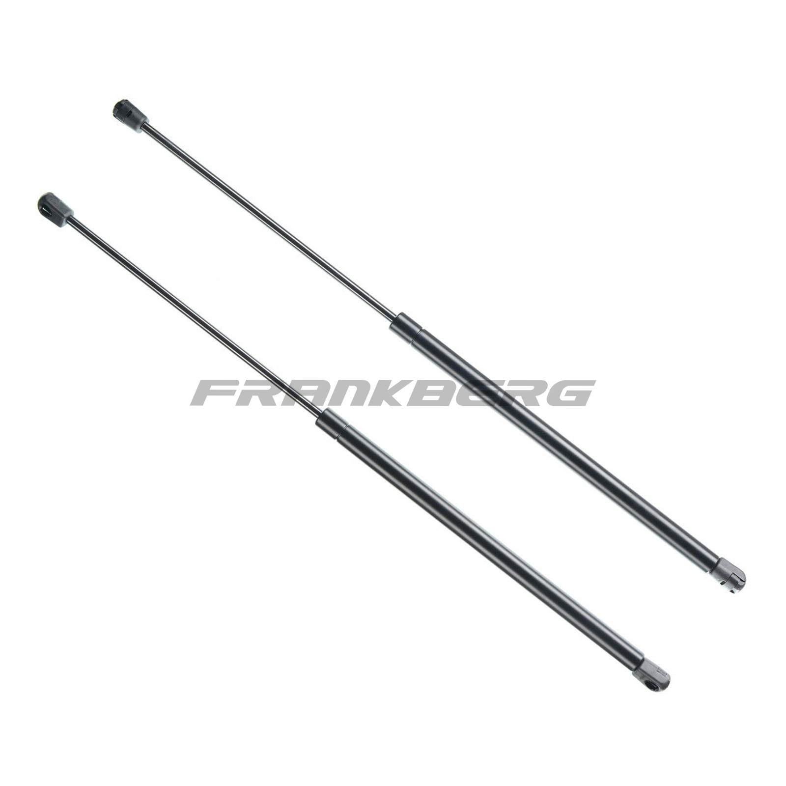 Gas Spring, boot/cargo area