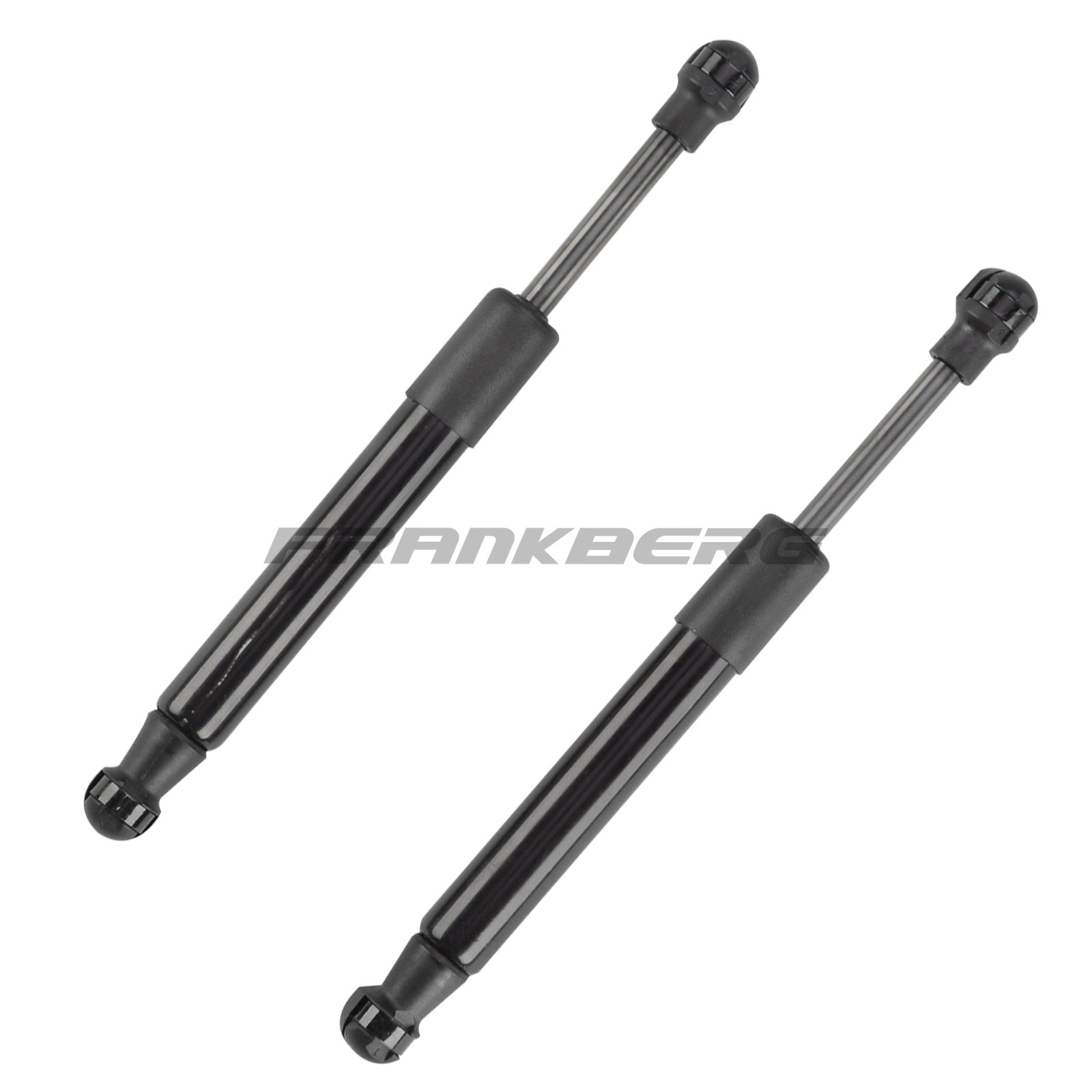 Gas Spring, boot/cargo area