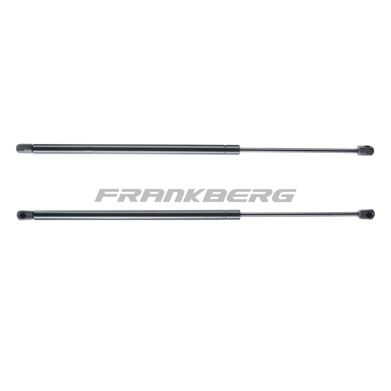 Gas Spring, boot/cargo area